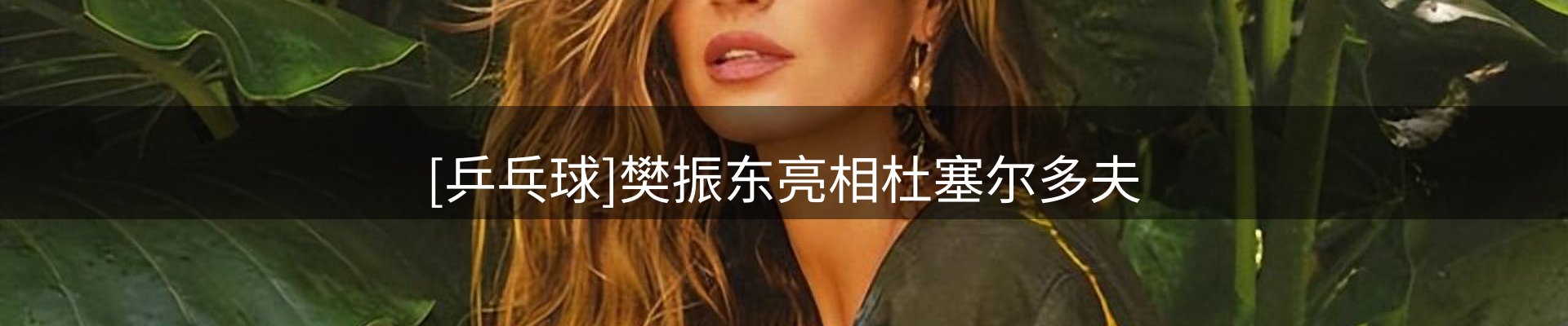 资讯评述